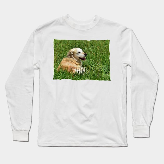 Golden Retriever Long Sleeve T-Shirt by DeVerviers